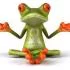 frog 2015 avatar