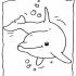 grünerdelphin avatar